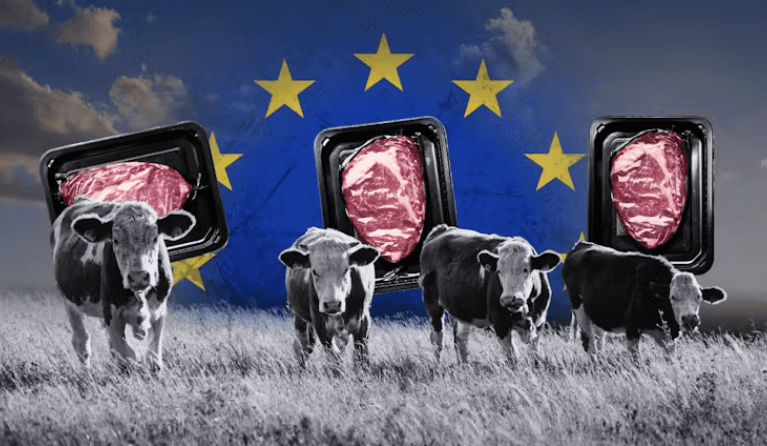 Federal Government ‘profoundly lets down beef industry’ in worst-ever FTA with EU