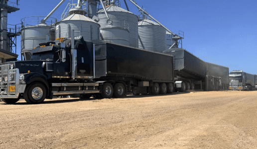 Feedgrain Focus: Input squeeze puts rocket under prices