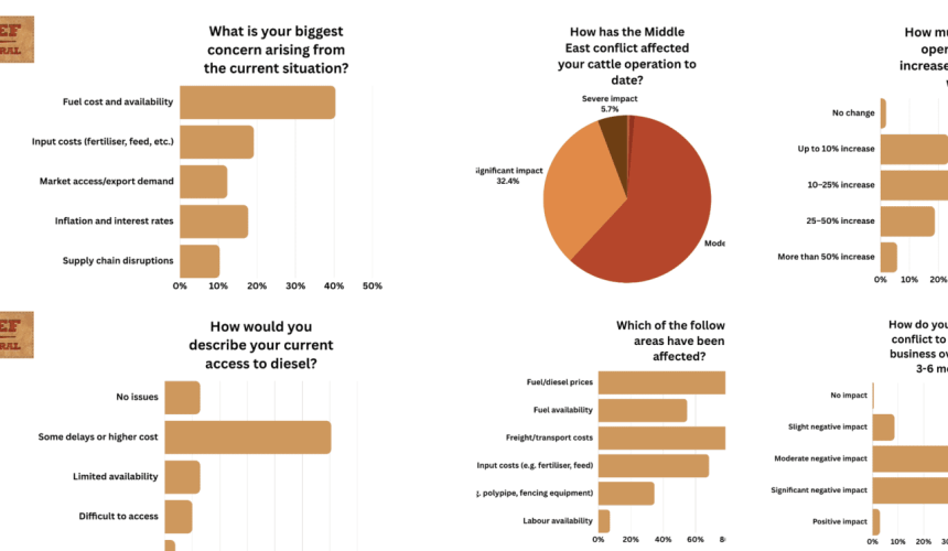 Beef Central producer survey: The tough calls being made as fuel and input costs bite