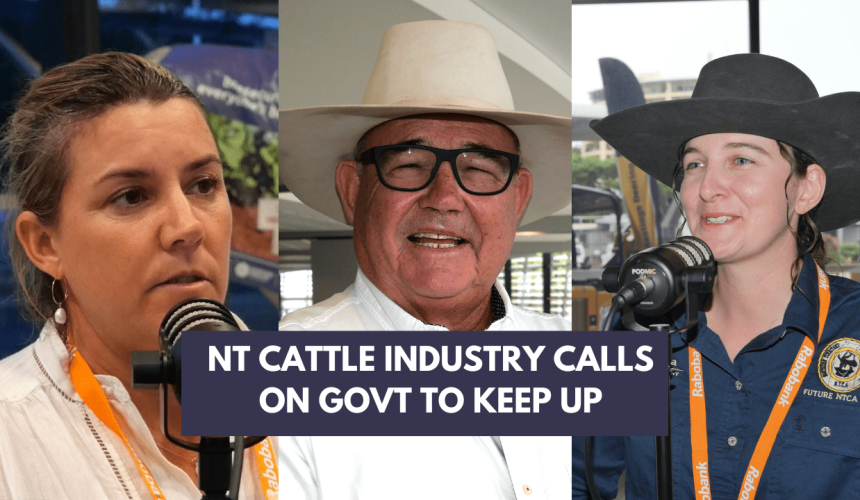 Podcast: How the north is racing the wet to ship cattle