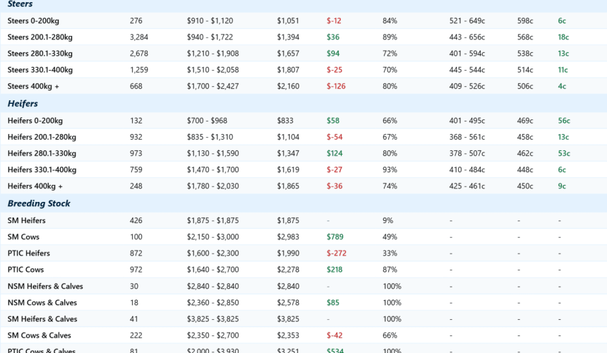 All steer and heifer categories show gains in larger 14,298 head online offering