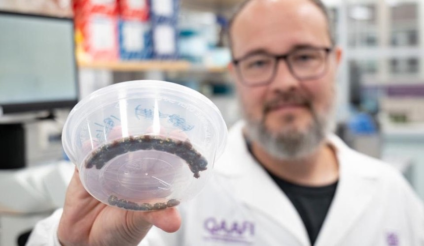 Rapid testing to tackle chemical resistance in cattle ticks