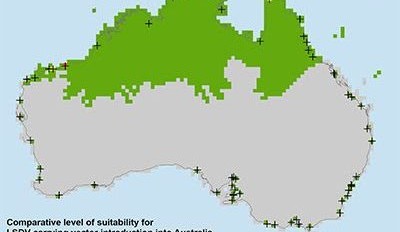 Model maps potential lumpy skin disease gateways to Australia