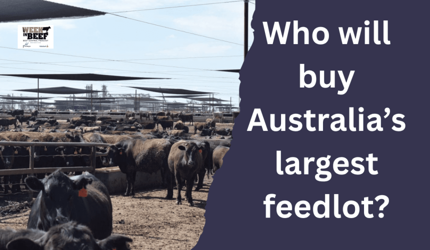 Podcast: Wagyu branded beef winners | Pain relief tips | Who will buy Mort & Co?