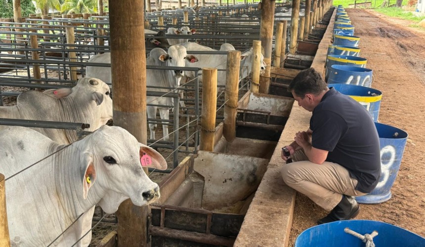 Brazil trials show additive’s methane-reducing impact in beef; low-methane wool launch