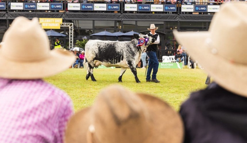 12-month countdown to Beef 2027 industry event starts today
