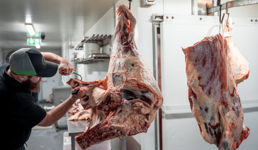 The skills crisis in Aussie meat processing and why experience alone can’t fix it