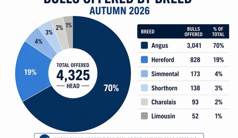 Weekly genetics review: What have we learned from autumn 2026 bull sale results?