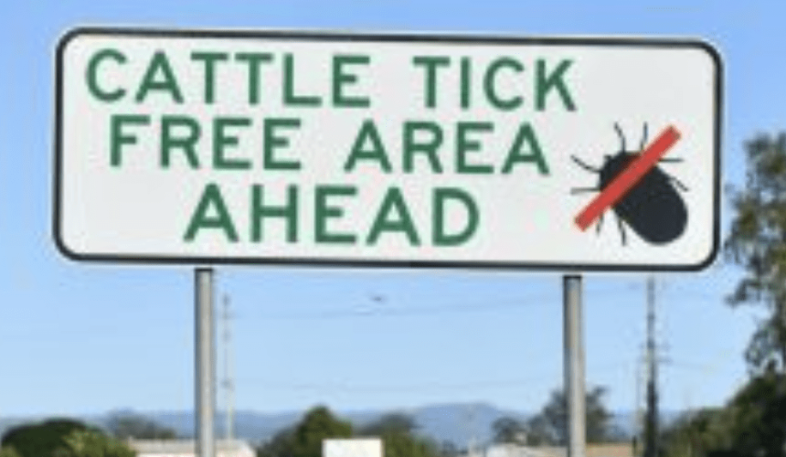 New eradication action plan and $7m boost to rebuild NSW cattle tick program