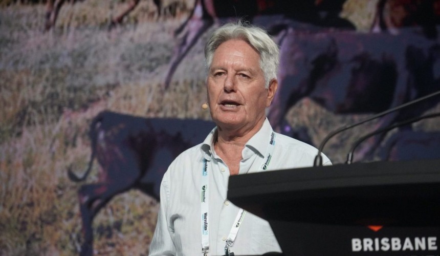 Exotic disease risk shadow persists over Australian beef industry: How should producers prepare?