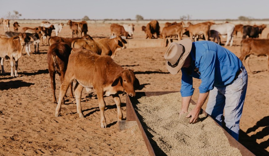 Build the rumen. Build the return.