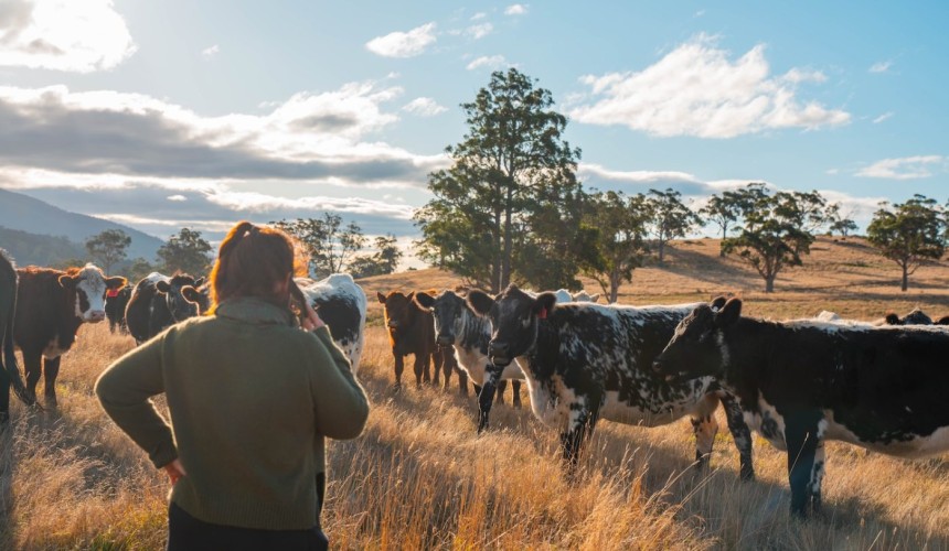 Help needed as regional Aussies navigate new mobile tech