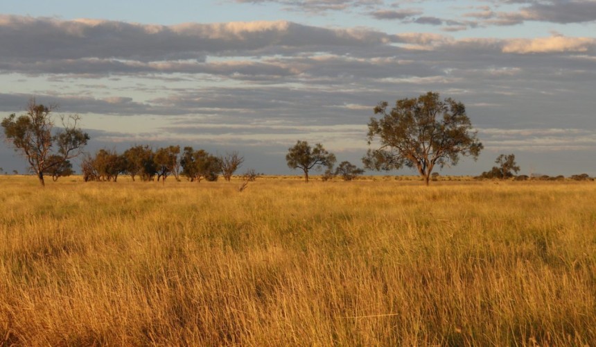 District record set in Qld’s central west with Saltern Creek sale