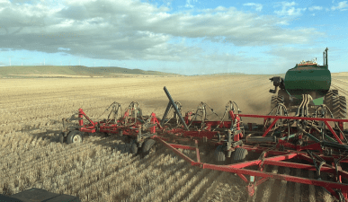 Feedgrain Focus: Volatility kills volume, short trips appeal