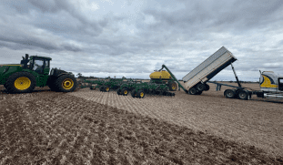 Feedgrain Focus: Growers hold as dry concerns spread