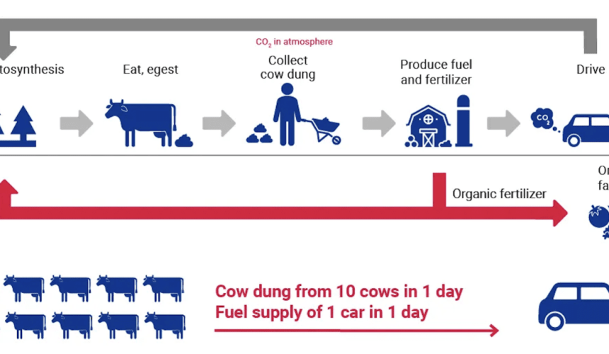 Suzuki produces biogas from cow dung in India