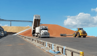 Feedgrain Focus: Boat to Brisbane likely as northern wheat climbs