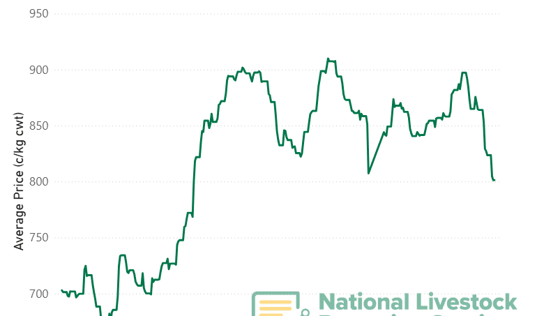 Saleyard prices take a hit as EYCI drops to 800c