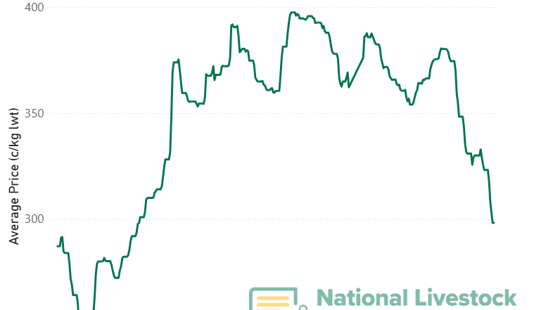 Cow prices take a hit as more records tumble at the saleyards