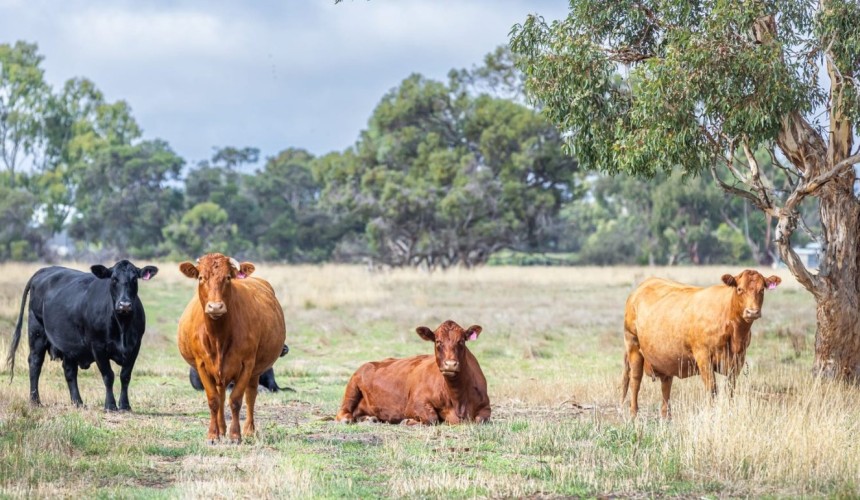 Movement at the station: Properties for sale in WA, NSW & SA