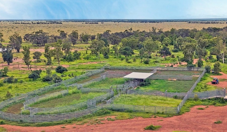 Movement at the station: Properties for sale in Qld
