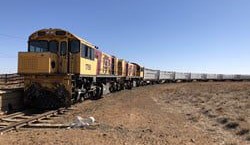 Cattle on long-distance rail pass MSA test