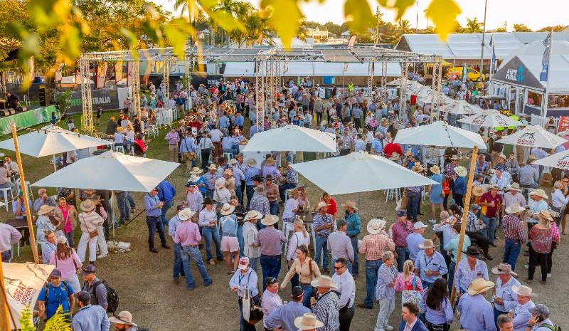 Qld Government commits $4.5m to Beef 2027 event in Rockhampton