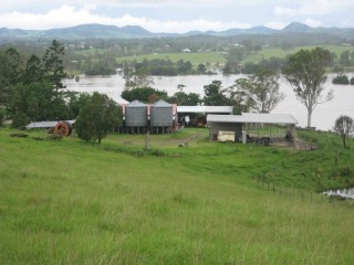 The Mary River on the rise in January, which eventually inundated the river flats country to a depth of six metres e 
