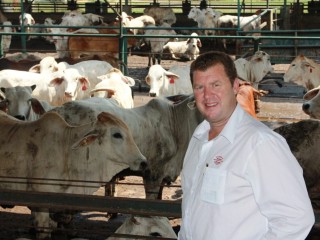 Elders livestock executive sales manager Tony Gooden with northern Australian cattle in Elders' feedlot near in Lampung, Indonesia, 