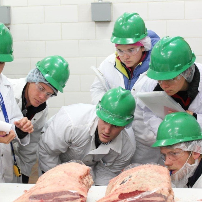 Training at Wyoming University - from left, Emma Hegarty (coach), Frederick Broughton, Hamish Irvine, Tammy Heir, Laura Kemmis and Nick van den Berg.
