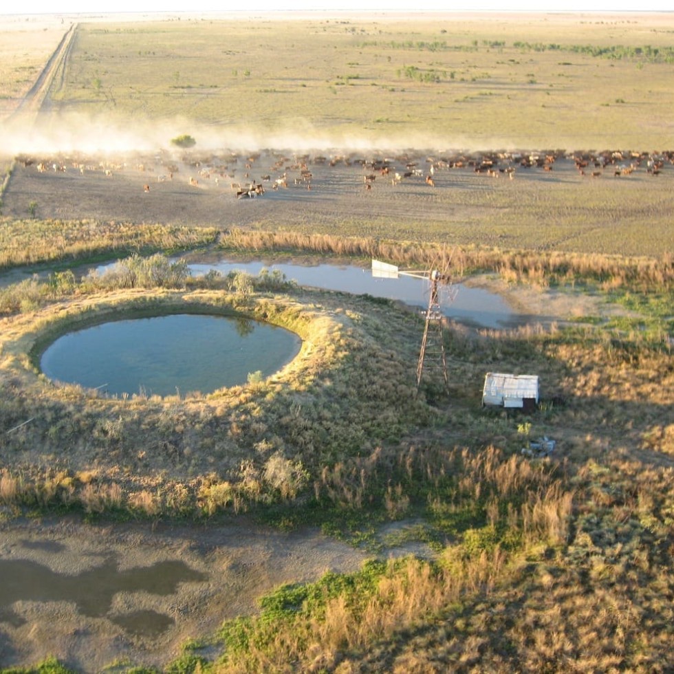 Artesian bore and turkey's nest on the Barkly Tableland 