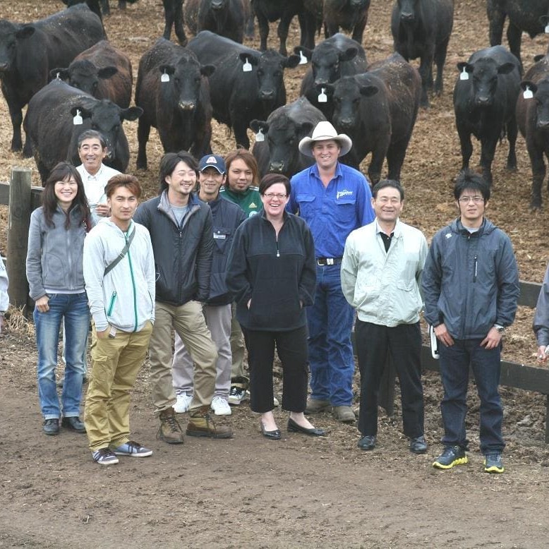 Hopkin's River's David Maconochie (blue shirt) and MLA's Japan region manager Melanie Brock with Japanese PTP Mission members during their visit to an Australian feedlot this week.