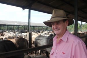 Elders' Dick Slaney is one of the Australian cattle industry's most experienced stakeholders in Asia.