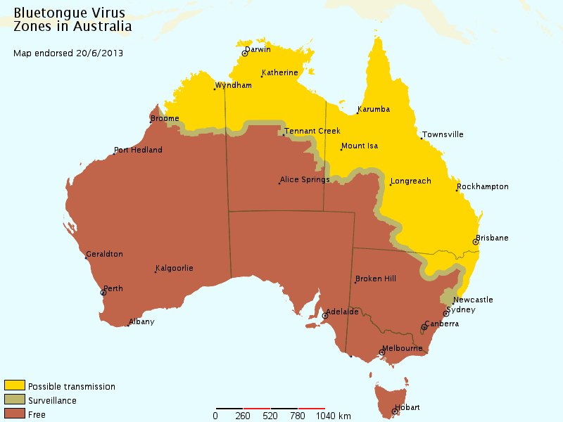 bluetongue-map