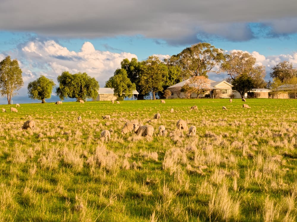 farm-2