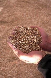 grain-4