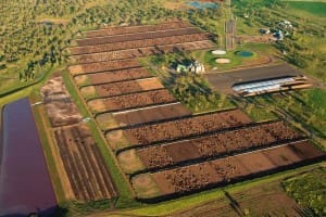 NAPCo Wainui feedlot