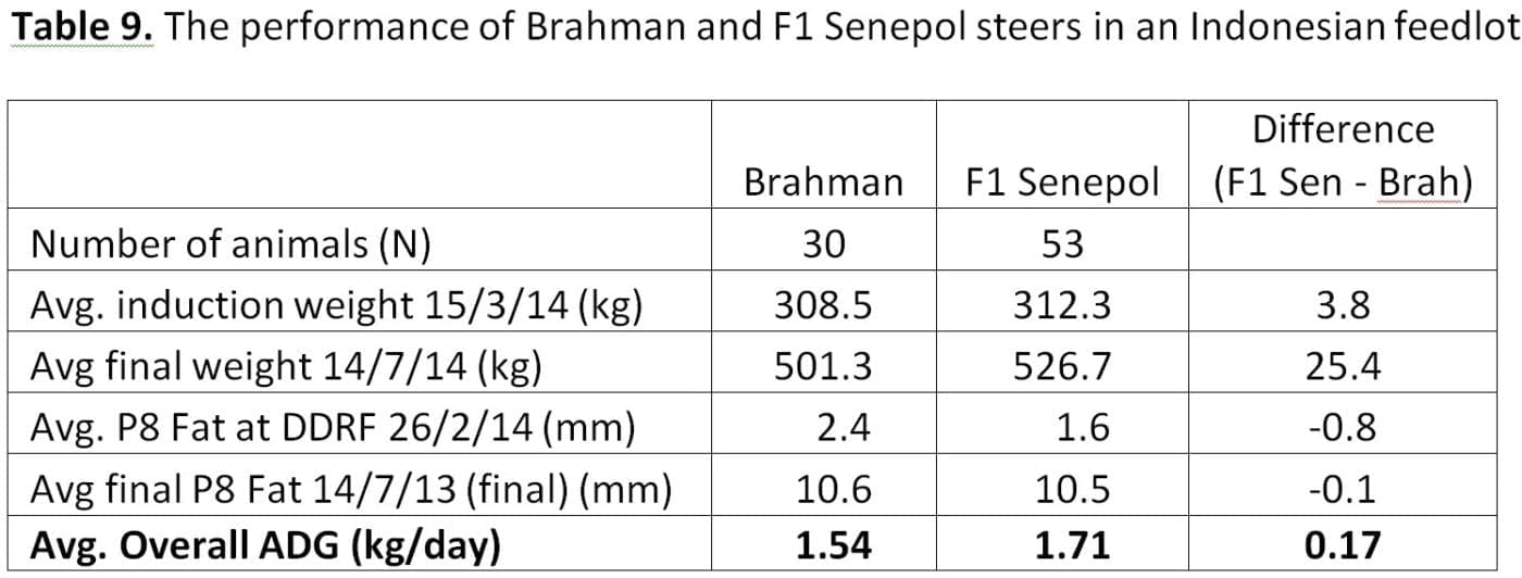 Senepol table