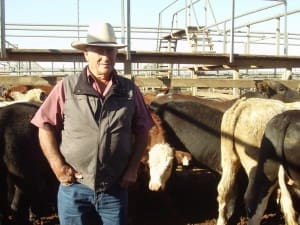 Greg (pictured) and Lorraine Proud, Woodstock, Roma, sold Angus-cross steers to 208c/kg for 258kg to return $538/head at Tuesday’s Roma Store Sale.