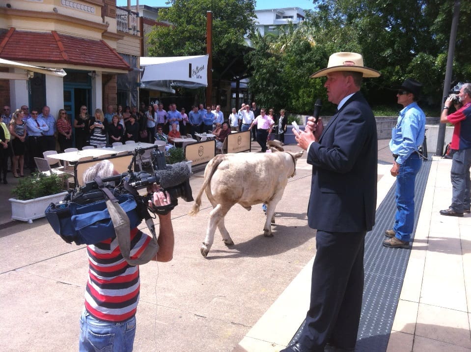 Auctioneer Darren Perkins from George & Fuhrmann takes a bid during the record-breaking Brekky Creek auction