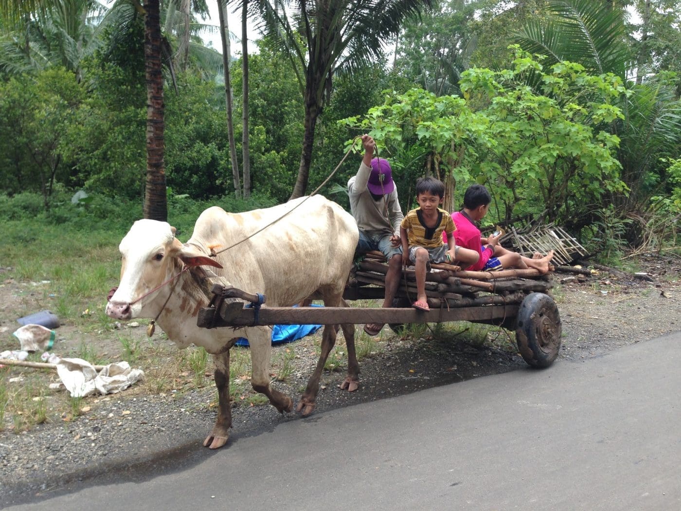 Indonesian children
