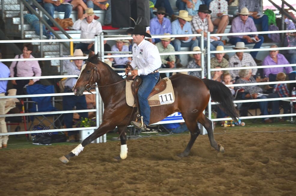 This brown five-year-old mare, Peelvale Rhythm offered by J Miles, Tamworth topped the mare section, selling for $30,000 to Mac’s Contracting.