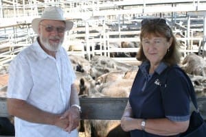 Bob and Marg Smith, Coleraine, sold Angus steers to 226c/kg