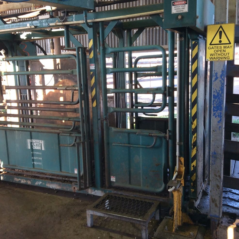 Brindley Cattle Crush 2
