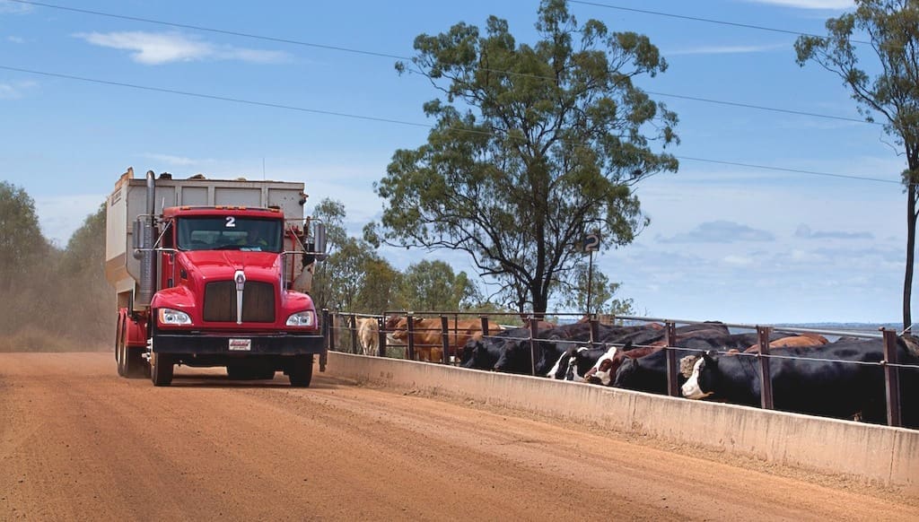 Smithfield feedlot grain feeding generic