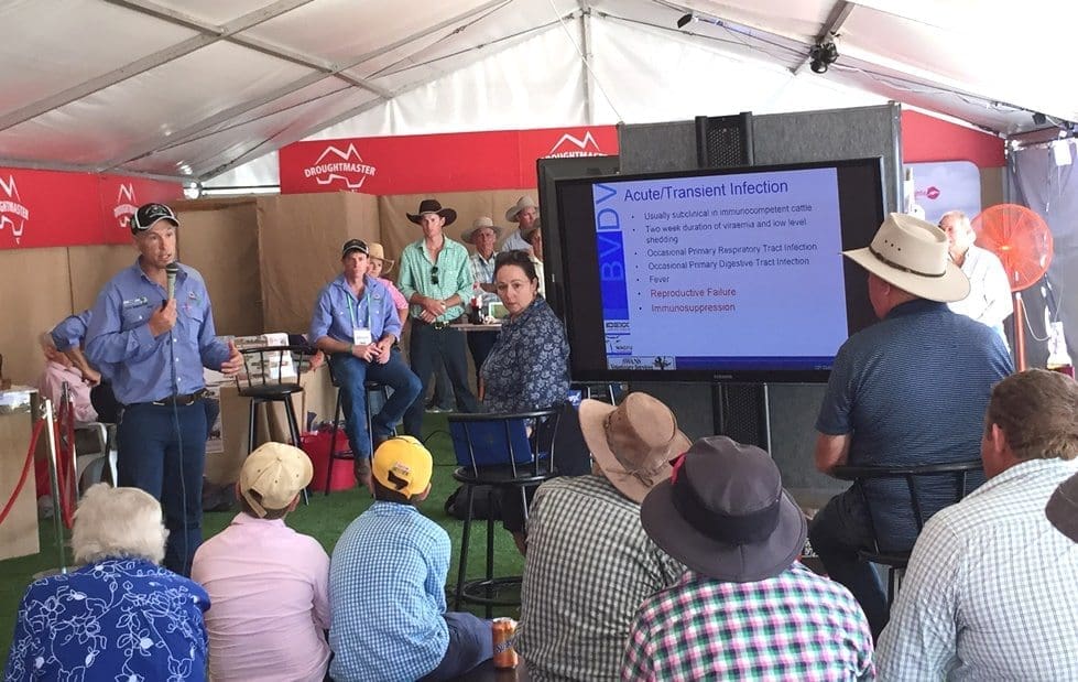 Enoch Bergman delivering a seminar on pestivirus during Beef 2015.