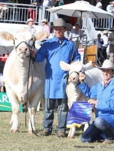 Champion Of Champions Female winner, Crathes Estella 32 (P) and heifer calf, Elite Estella Glen Waldron and Kim Groner, Elite Charolais, ‘Murwollock', Meandarra.