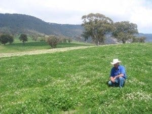 Improved pastures on 30,000ha Glenrock Station, east of Scone