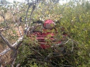 Honda-2-Medium