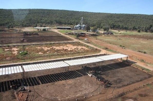 The Mount feedlot